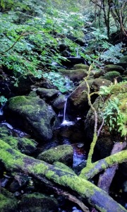 river moss rocks waterfall wales