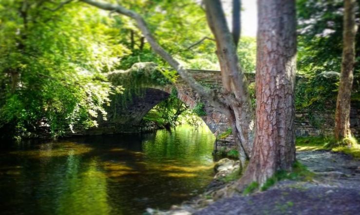 bridge river trees bethesda ogwen north wales Cymru