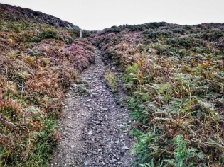 Conwy Mountain path fell running
