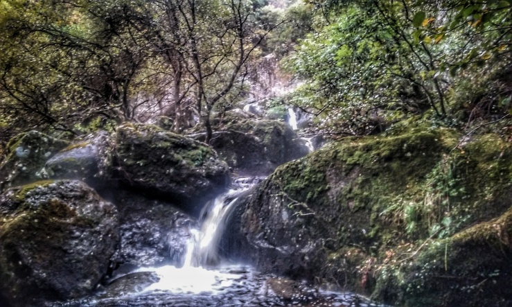 River waterfall wales running Dolgarog